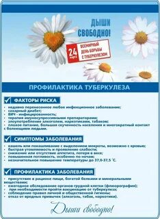 Профилактика 24
