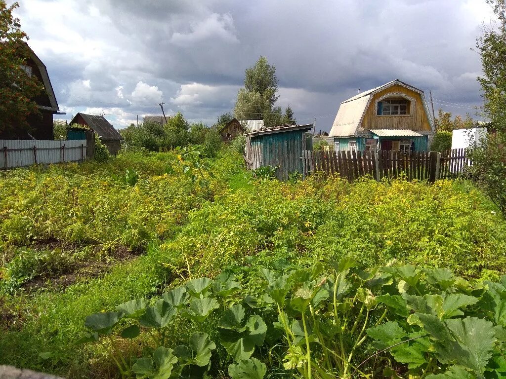 Купить участок снт нижний новгород. Земля Новосибирск. Земельные участки в Новосибирске. Обл. Новосибирская, г. Новосибирск, СНТ "мир". Дачные участки в Новосибирске.