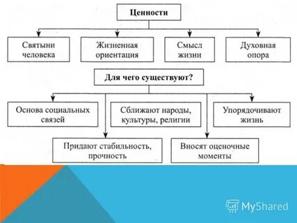 Объясните связь упомянутых автором социальных ценностей