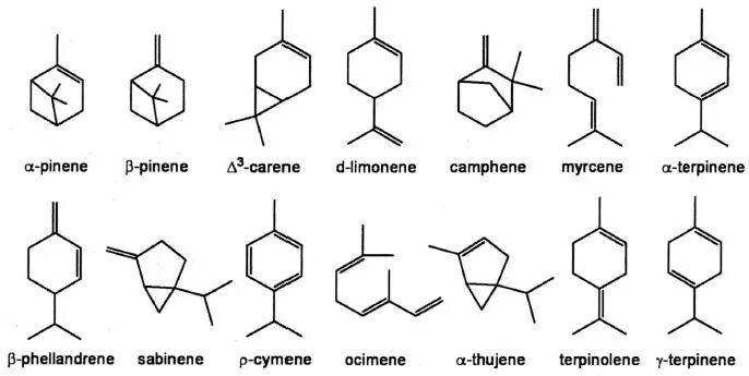 Пинен это. Камфен структурная формула. Терпены каннабиса. Пинен камфен борнеол. Фелландрен формула.