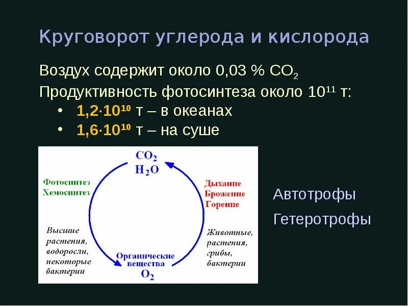 Цикл углерода. Круговорот углерода и кислорода. круговороты углерода и кислорода, их сопряженность. круговорот углерода микробиология. цикл углерода микробиология.