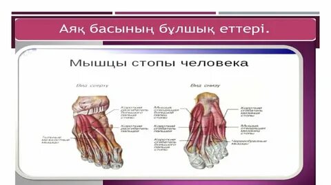 Порно үлкен жетілген сиськи фотосуреттер