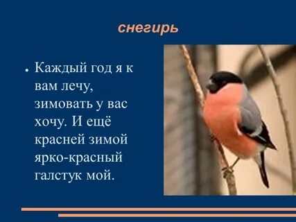Объяснение слова снегирь