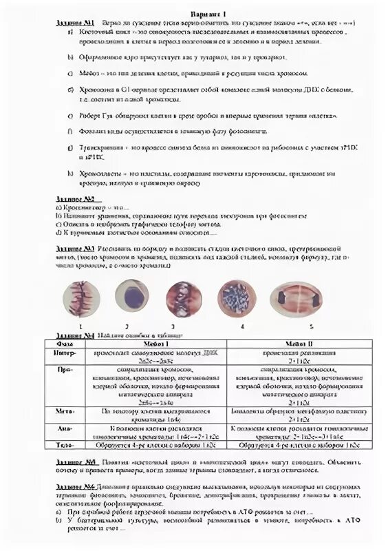 Тест по биологии 10 класс митоз и мейоз. Проверочная работа по биологии 9 класс митоз и мейоз. Тест по биологии 9 класс митоз. Биологические тесты 9 класс митоз. Митоз и мейоз проверочная