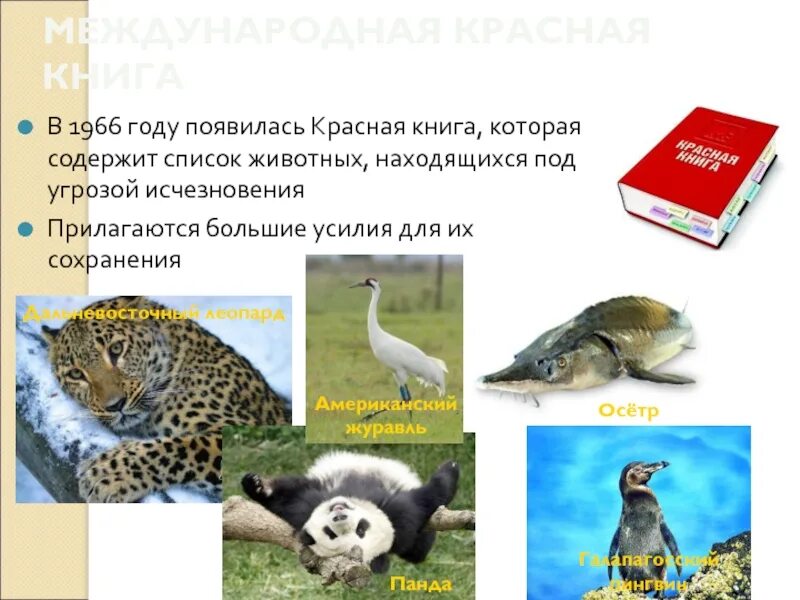 Международная красная книга животных список с фото