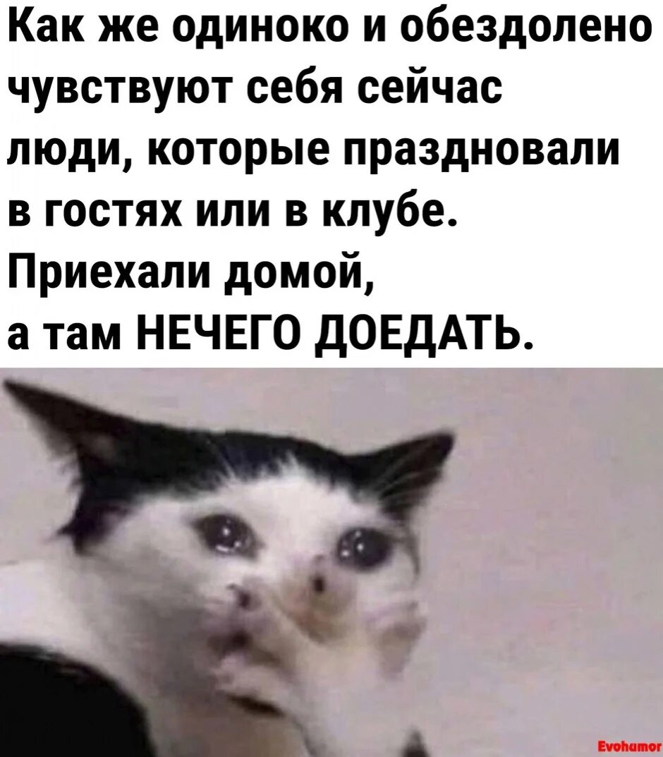 Meme 2023. Смешные шутки 2023 года. Смешные фото мемы 2023. Мемы 2023 года. Мемы с котами новые.