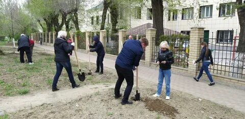 Посадка в волгограде