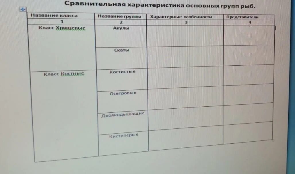 Таблица рыбы 8 класс биология. Характеристика основных групп рыб таблица. Характеристика основных систематических групп рыб таблица. Сравнительная характеристика классов рыб таблица 7 класс. Таблица сравнительная рыбы 7 класс.