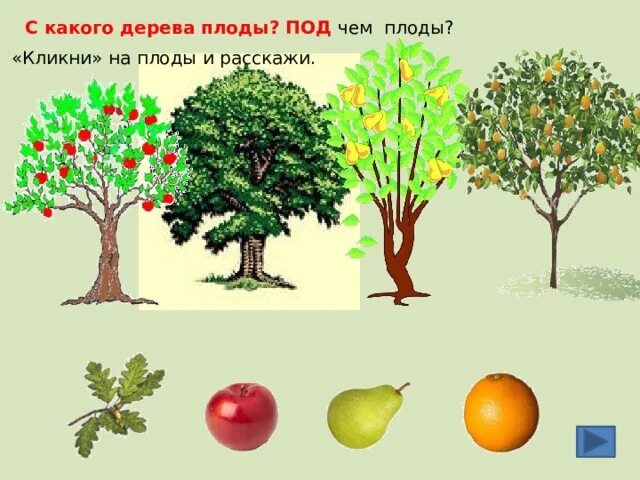 Плодовые деревья для дошкольников. Деревья и плоды. Деревья для дошкольников. Плоды деревьев и кустарников.