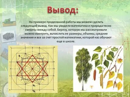 Математика в природе