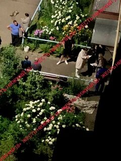 Певец который выбросился из окна