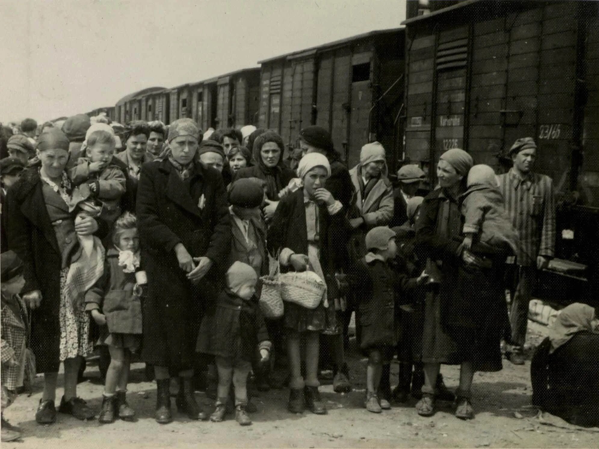 Лагерь Освенцим в годы Великой Отечественной войны 1941-1945. Узники Освенцима в вагонах. Дети 1944 года