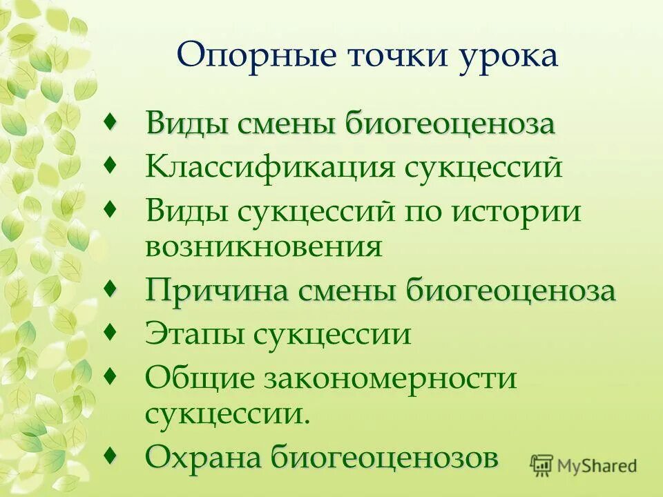 биология 6 класс. формы работы н ароке биологии. виды уроков по биологии. виды уроков по биологии. виды уроков по биологии.