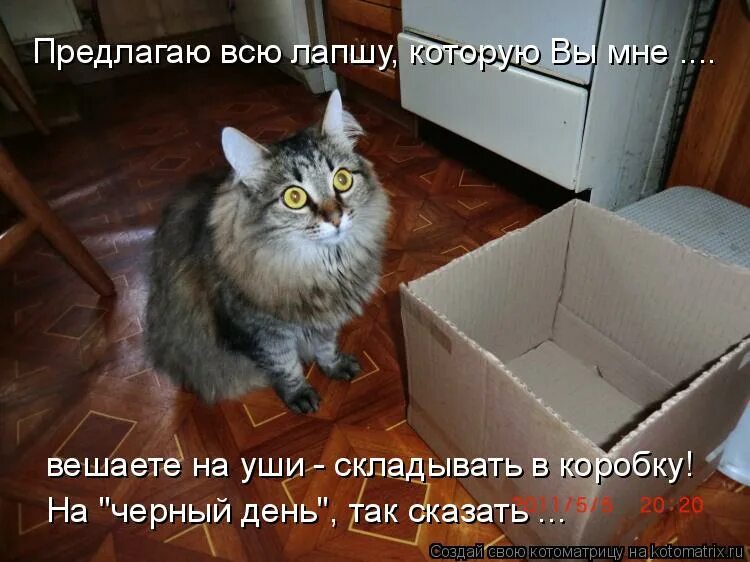 смешные холостяцкие квартиры. много котов на кровати. уставшая мама. семья в домике. загородный участок игоря скляра.