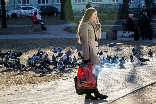 Погода в бобруйске. Погода на выходные Могилев. Погода в Бобруйске на неделю.