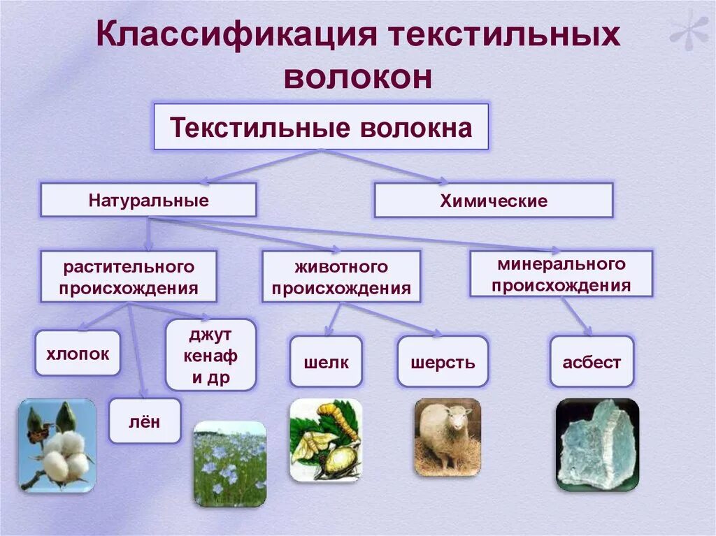 Растительные волокна свойства. Классификация текстильных волокон. Классификация текстильных волоко. Классификация текстильных волокон таблица. Классификация природных волокон.