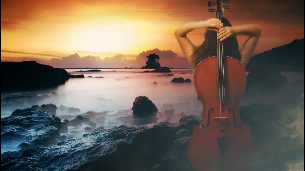 Violin remixes. Скрипка и море. Виолончель на природе. Девушки со скрипкой. Скрипка на берегу моря.