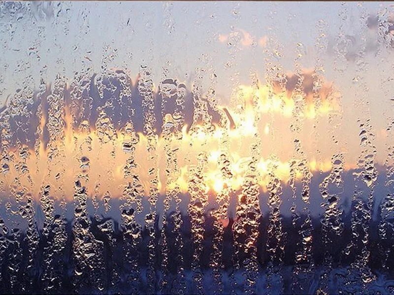 Сегодня целый день шел дождь. Дождик. Дождь в окне. Весенний дождь.