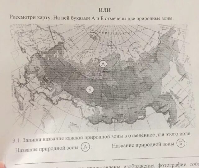 Природные зоны россии впр ответы. Название природной зоны а и б. Запиши название каждой природной зоны на карте. Природные зоны в отведенное для этого поля. Название каждой природной зоны в соответствующие.