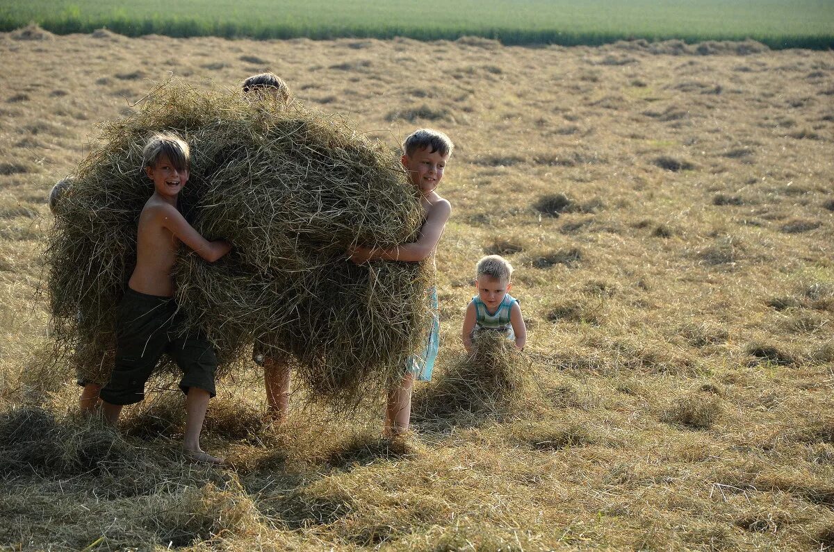 С мамой на сенокосе. Деревня 1990 сенокос. Сенокос в деревне. Дети на сенокосе. Стог сена в деревне.