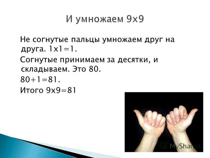 стопа анатомия строение мышцы сухожилия. мышцы тыла кисти анатомия. ткани пальца какие. строение ногтевой пластины 3 слоя. ткани пальца какие.