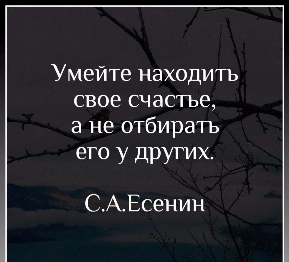 Несчастье чей. Высказывания о счастье. Цитаты про несчастье. Чужое счастье высказывания. Чужая семья цитаты.