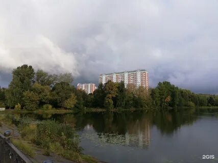 Балашиха 44