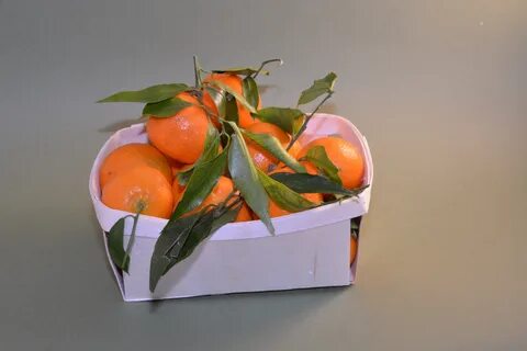 Фрукты в багаже
