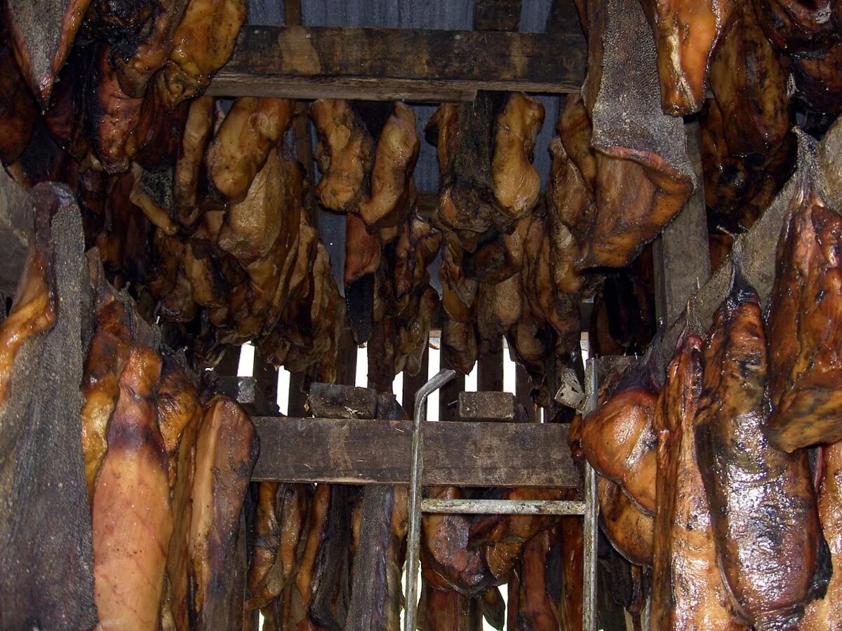 Акула деликатес
