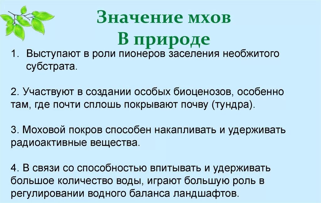 Каково значение мхов в природе 7 класс. Значение мхов в природе. Значение мохообразных в природе. Роль мхов в природе. Роль моховидных в природе.