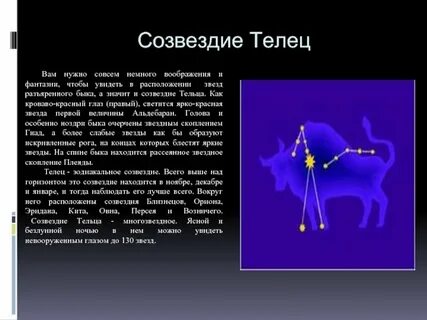 В какое время года наблюдать созвездие