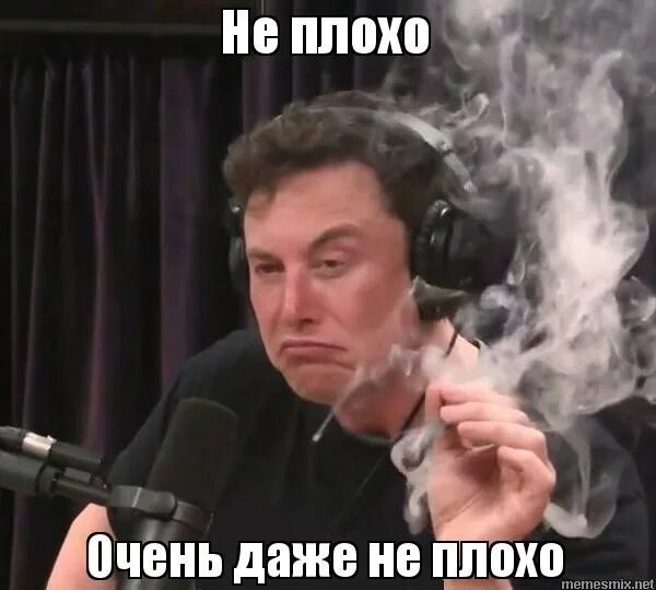 Не худший вариант. Не худший вариант. Курицын мем. Не худший вариант. И однажды худший из вариантов станет единственно верным обои.