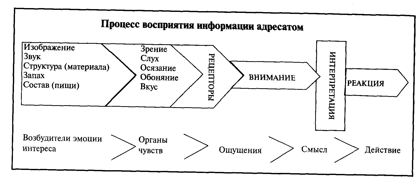 Процесс восприятия людей