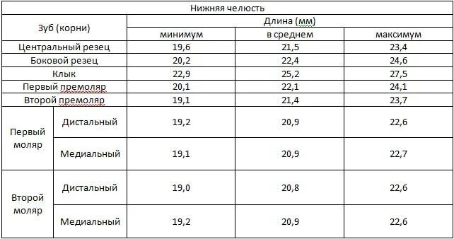 Определение рабочей длины корневого канала. Длина корневых каналов зубов таблица. метод определения рабочей длины корневого канала. рабочая длина корневого канала. длина корневых каналов в зубах таблица.