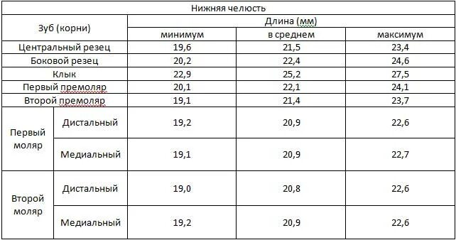 Определение корневых каналов. Длина корневых каналов таблица. Метод определения рабочей длины корневого канала. Табличный метод определения длины корневого канала. Длина корневых каналов зубов таблица.