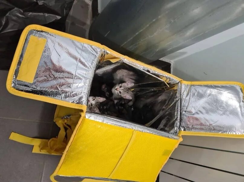 Доставь оставь. Доставь оставь