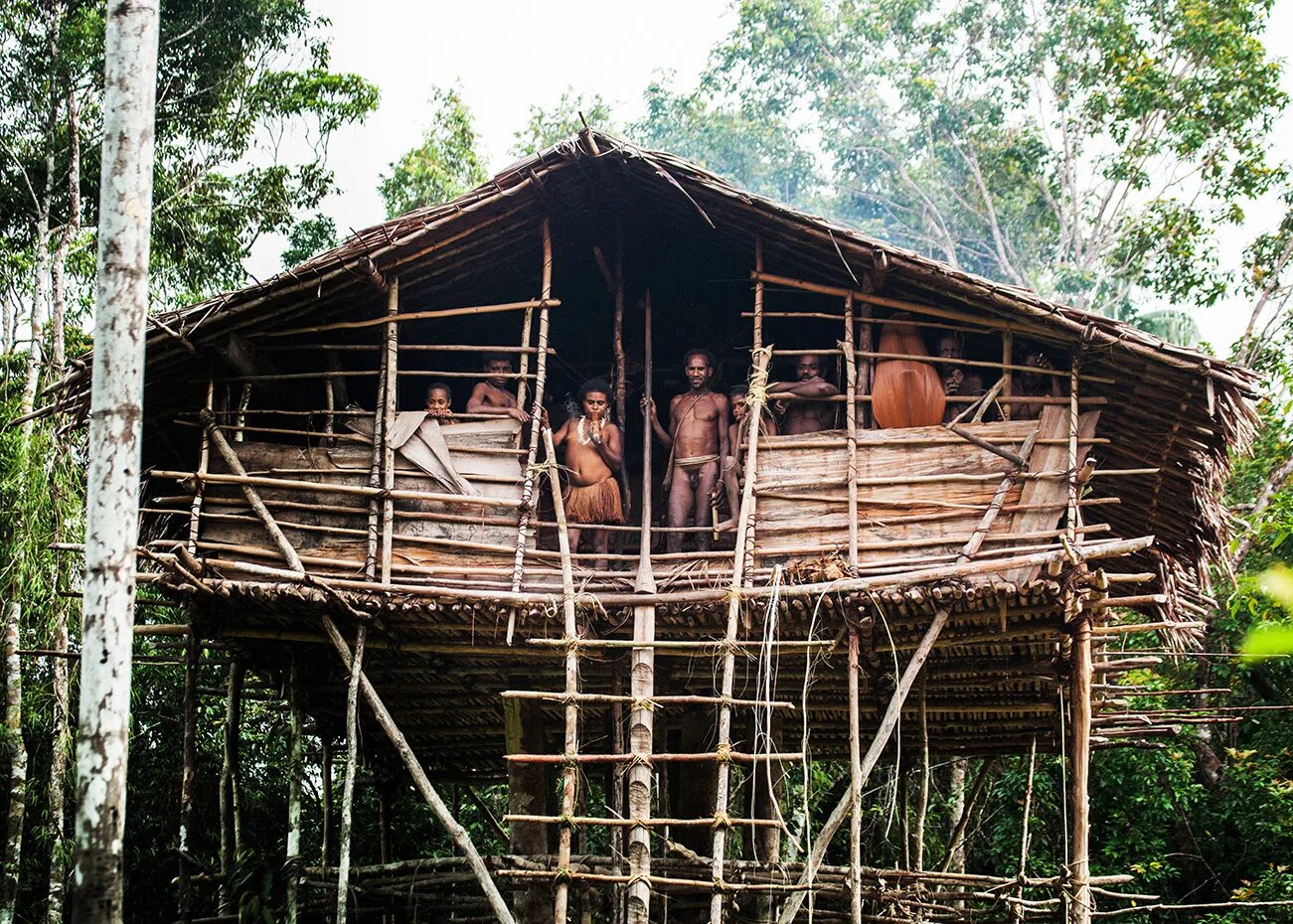 Племя КОРОВАИ Папуа новая Гвинея жилища на деревьях. Индонезия — племя КОРОВАИ. Новая Гвинея. Племя КОРОВАИ.