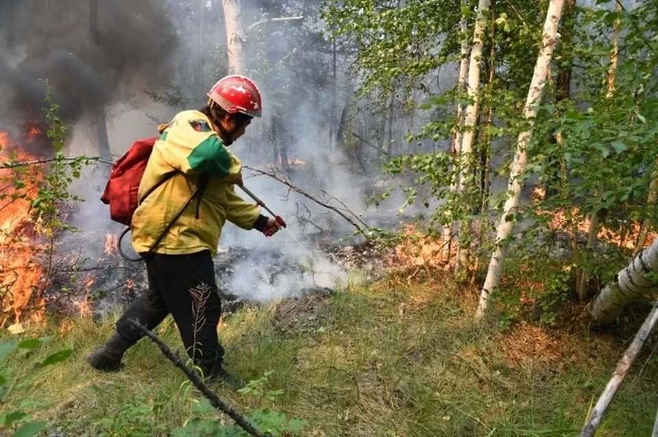 Лесопожарная ранцевая Ангара. Лесные пожары. Пожарные тушат пожар. Лесной пожар фото.