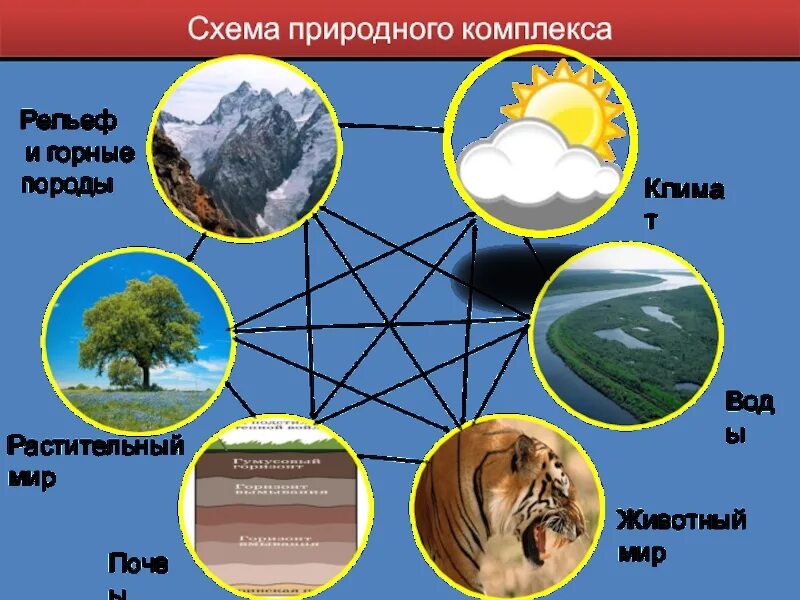 Перечислить природные компоненты. Перечислить природные компоненты