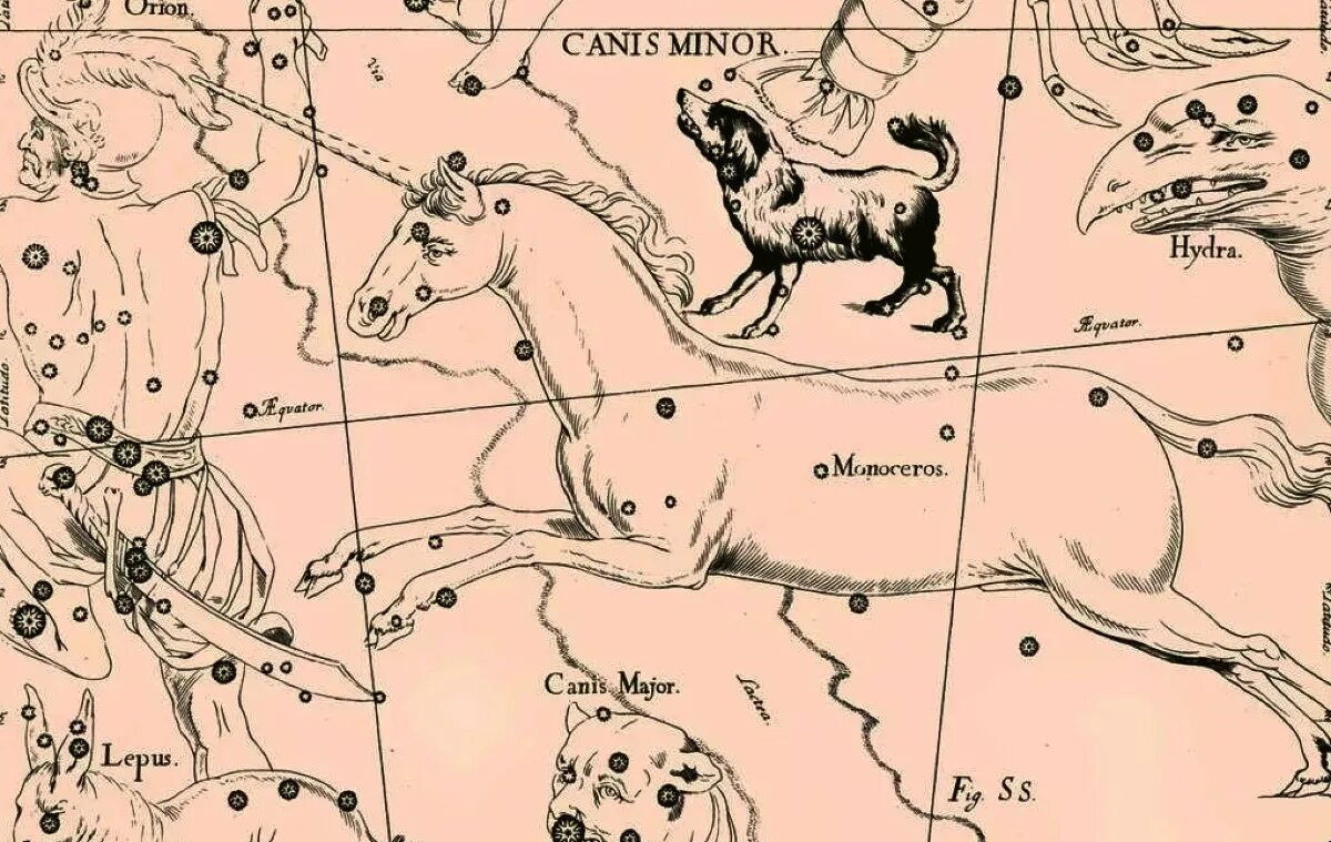 Негатин под созвездие черных псов. Canis Minor Созвездие. Созвездие гончих псов карта звездного неба.