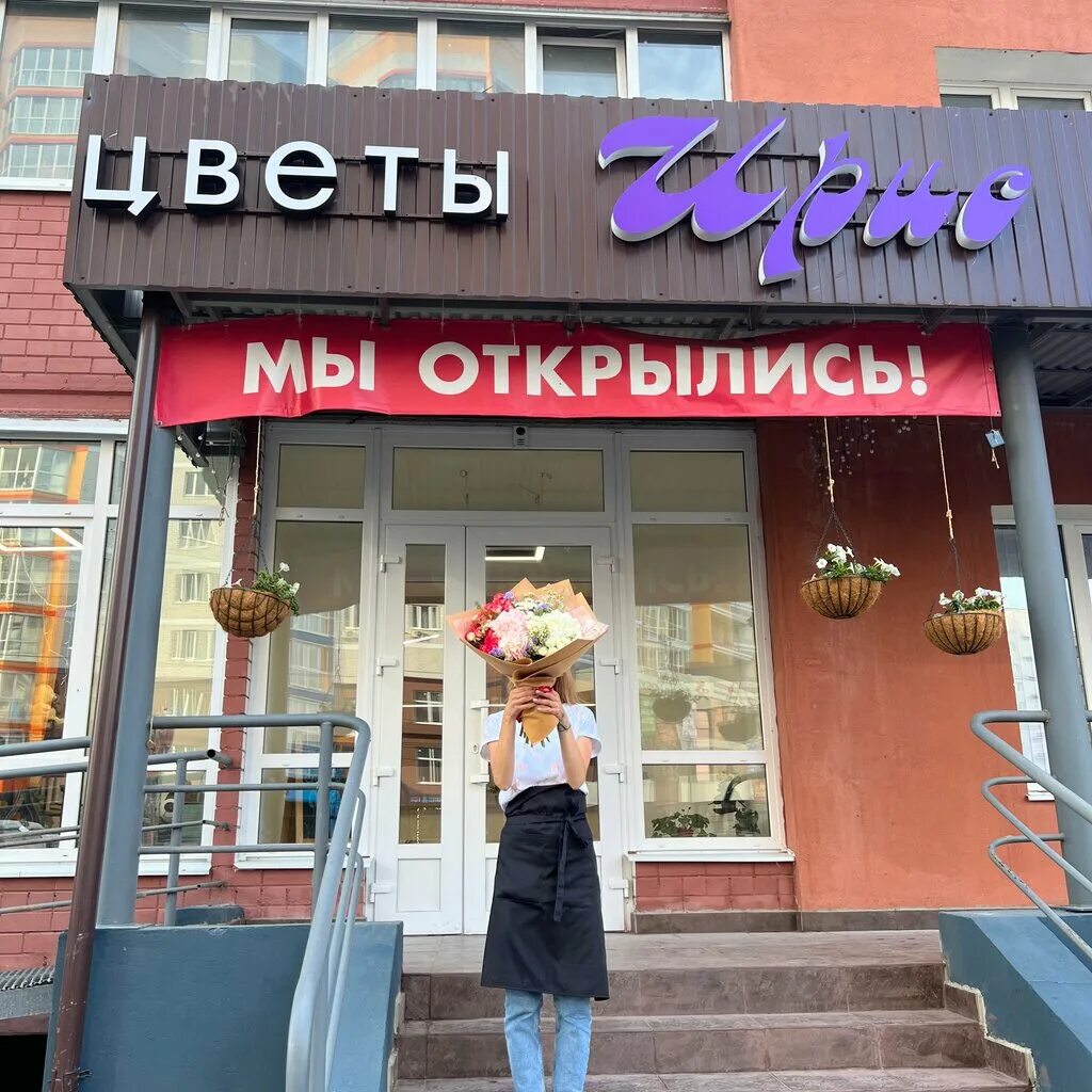 дикий ирис касатик. ирис брянск. ирис сибирский (iris sibirica `concord crush`). ирис брянск. ирис сибирский озорник.