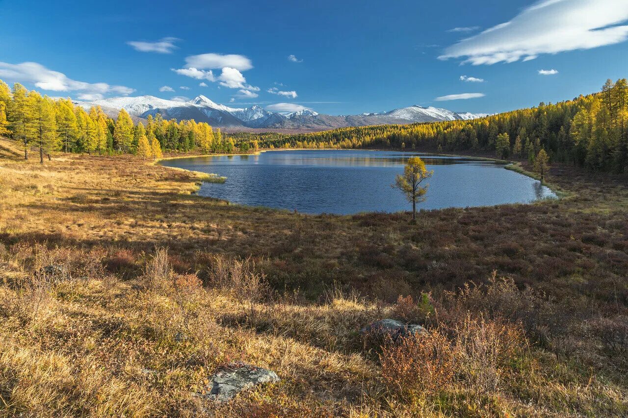 Алтай в какой части россии. Киделю озеро Алтай. Гейзерное озеро Алтай осень. Алтай осенью. Киделю в мае.