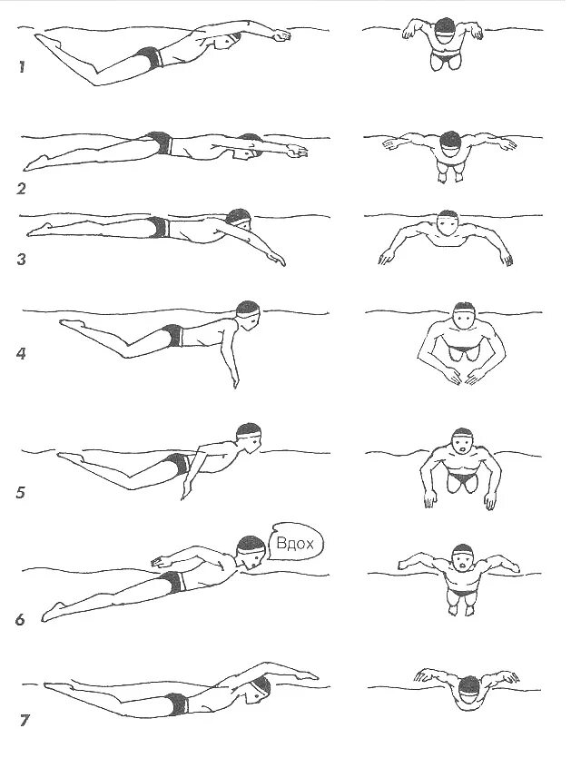 Как научиться плавать под водой. Кроль брасс Баттерфляй. Кроль Кроль на спине брасс Баттерфляй. Техника плавания брассом. Техники плавания Баттерфляй.