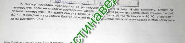 Какие измерения и сравнения нужно провести виктору. Какие измерения и сравнения нужно провести виктору
