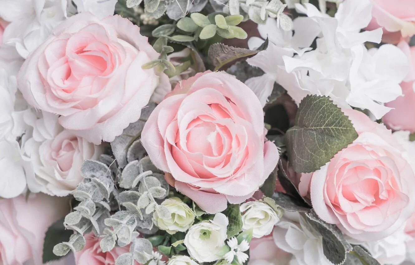 Нежный пон. Бело розовые цветы. Пастельные цветы. Нежные розовые розы.