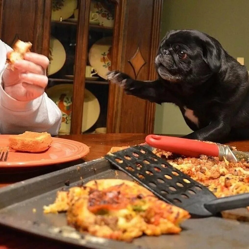 Голодный мальчик. Ричард гир бездомный. Делюсь хлебом. Демон который доедает за детей пищу. Люди просят еду.