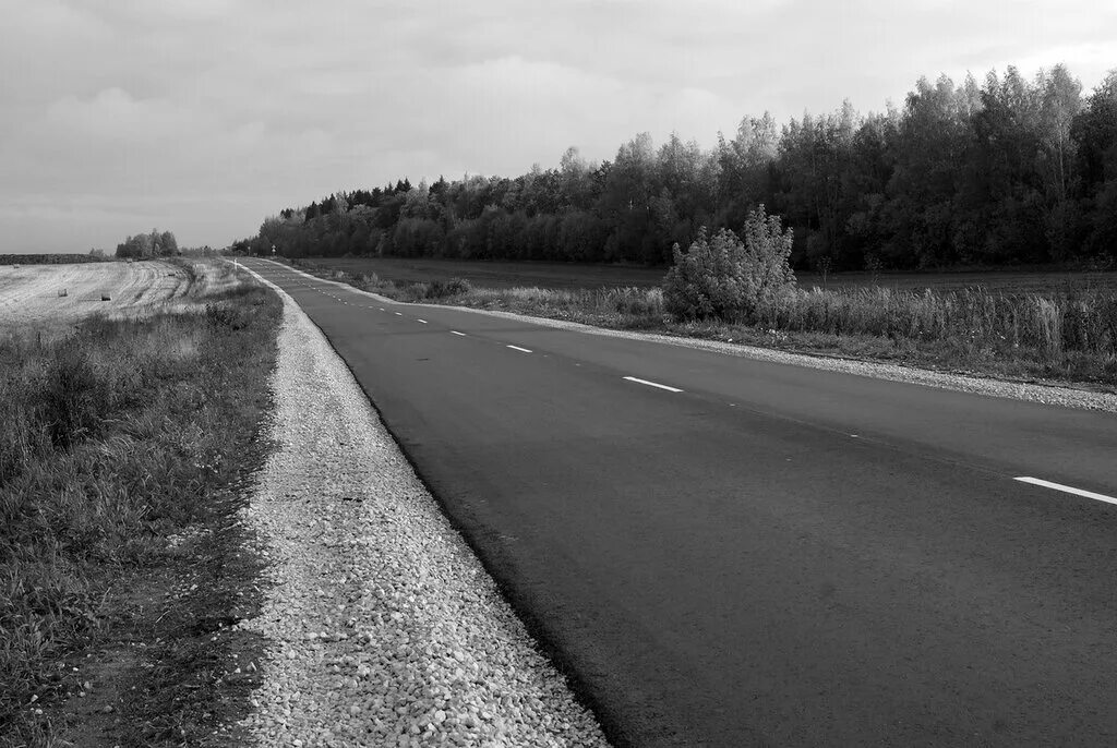 дорога черно белая. черная дорога. чёрно белая дорога. дорога черно белая. белой дорогой.