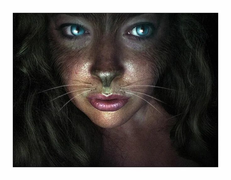 Себастьян маньяни фотограф портрет. Кошка превращается в женщину. Красивая девушка с кошкой. Превращение в кошку. Грация кошки.