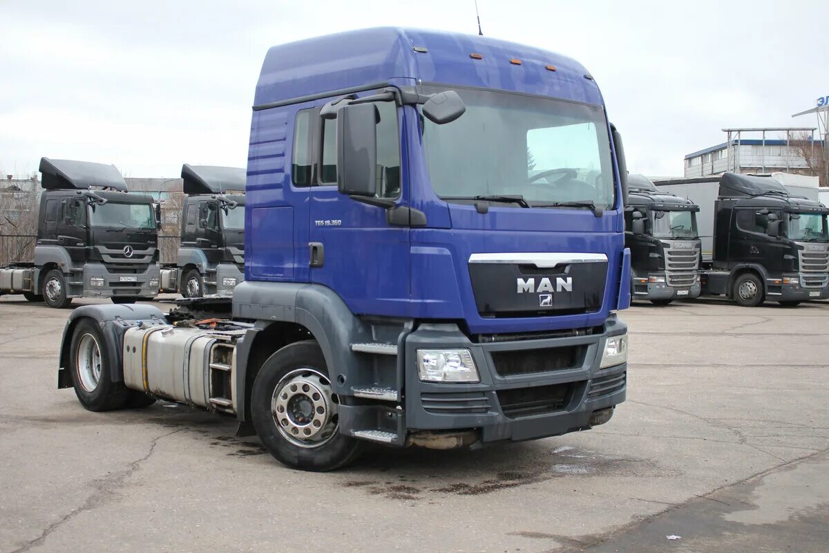 ман тгс 2011 года. продажа бу тягач man tgs 2011 год. Man tgs 360 2011. 440. 400магнит.