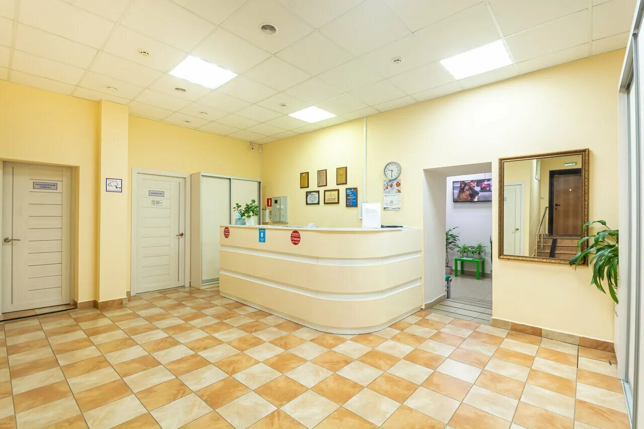 Томограф открытого типа в туле. Федора смирнова консультант тула. Тула ул чапаева мрт. Диагностический центр тула. Центр мрт тула.